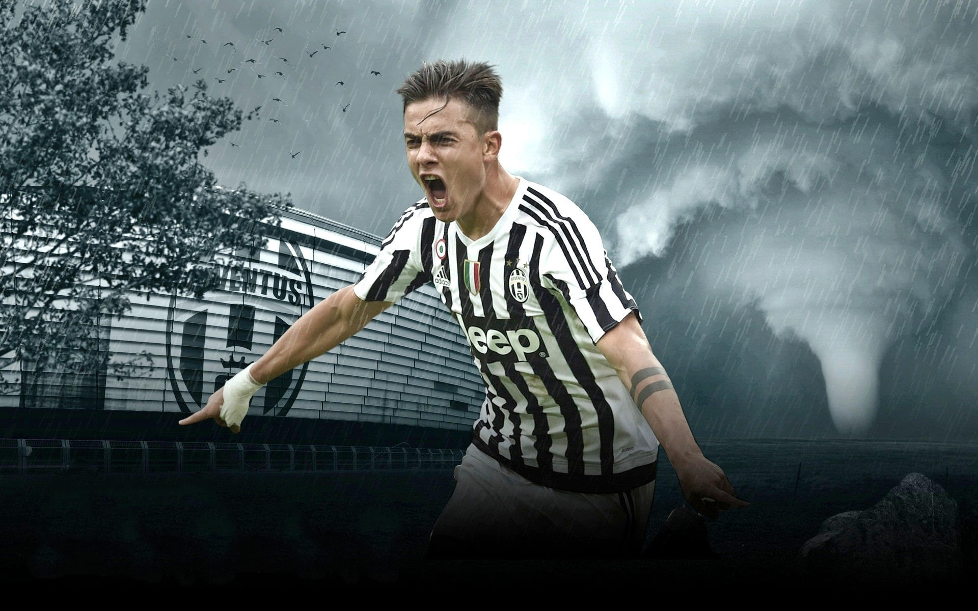 后倾向急于 后倾向急于